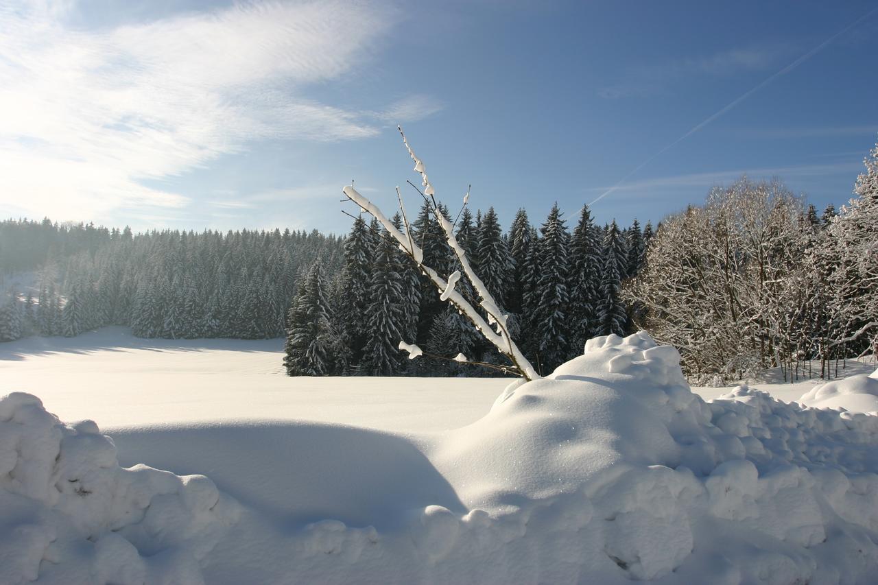 Jeleni Chata Skladanka Lucany nad Nisou Exterior photo
